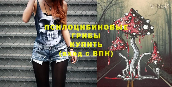 гашик Белокуриха