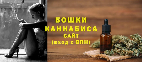 гашик Белокуриха