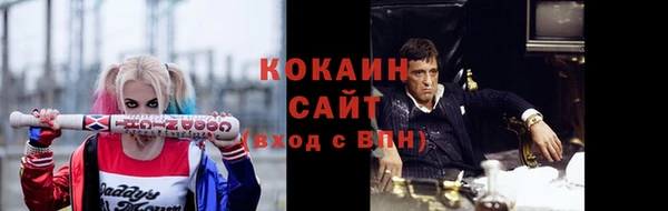 гашик Белокуриха