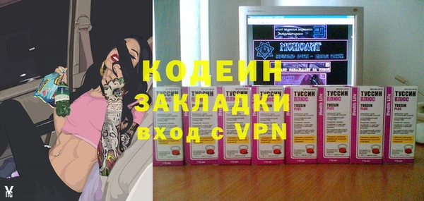 гашик Белокуриха
