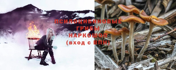 гашик Белокуриха