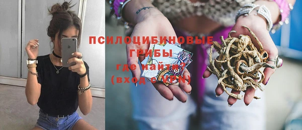 гашик Белокуриха